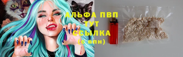 apvp Алексин