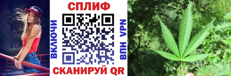Бошки марихуана гибрид  закладки  Канаш 